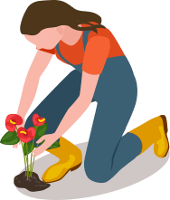 woman planting